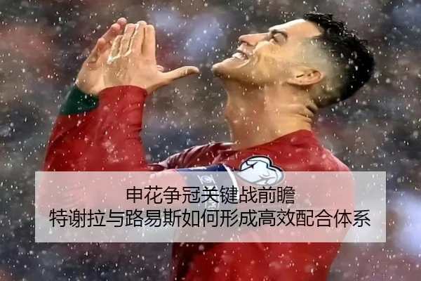 申花争冠关键战前瞻 特谢拉与路易斯如何形成高效配合体系