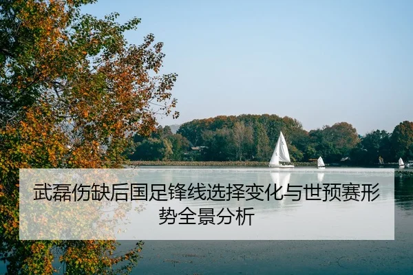 武磊伤缺后国足锋线选择变化与世预赛形势全景分析