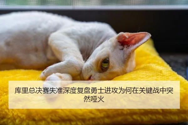 库里总决赛失准深度复盘勇士进攻为何在关键战中突然哑火